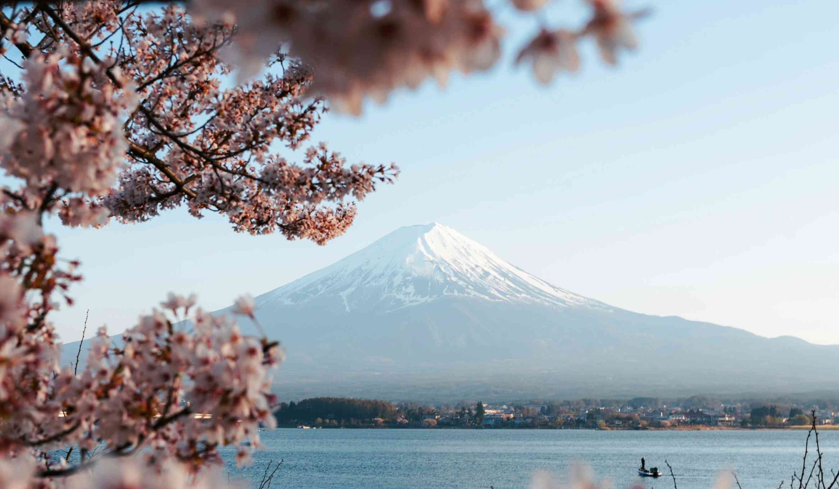 Berg Fuji