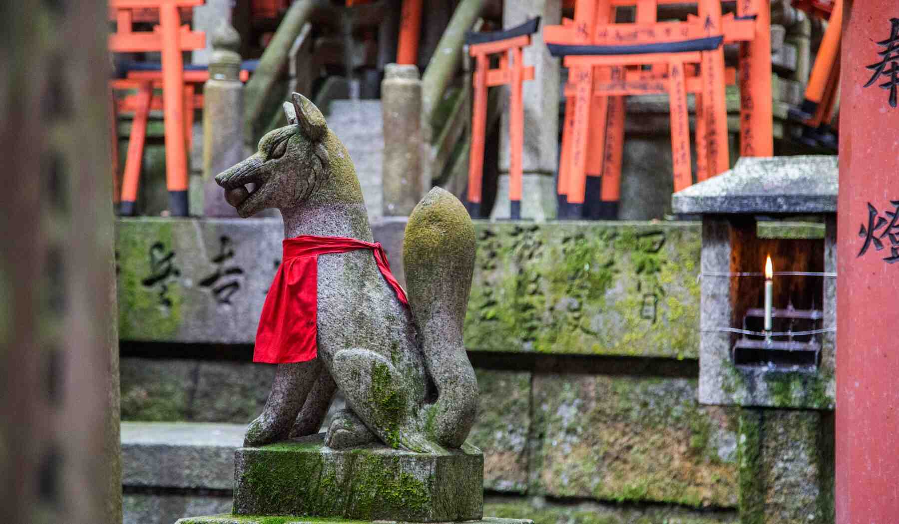 inari-renard-japan-2