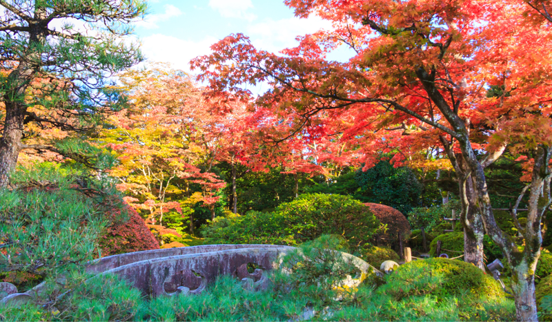 Herbst Japan