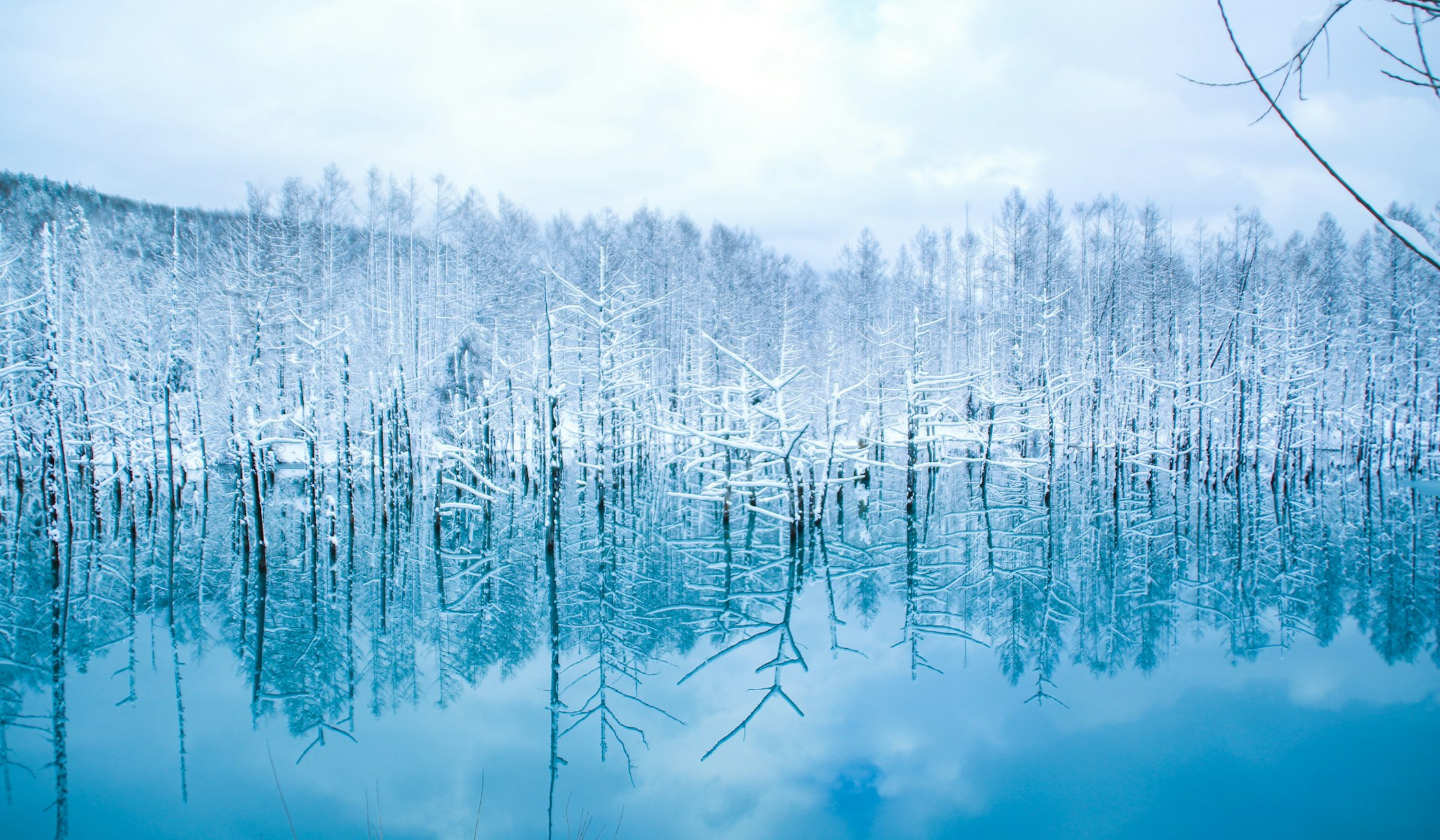 Hokkaido