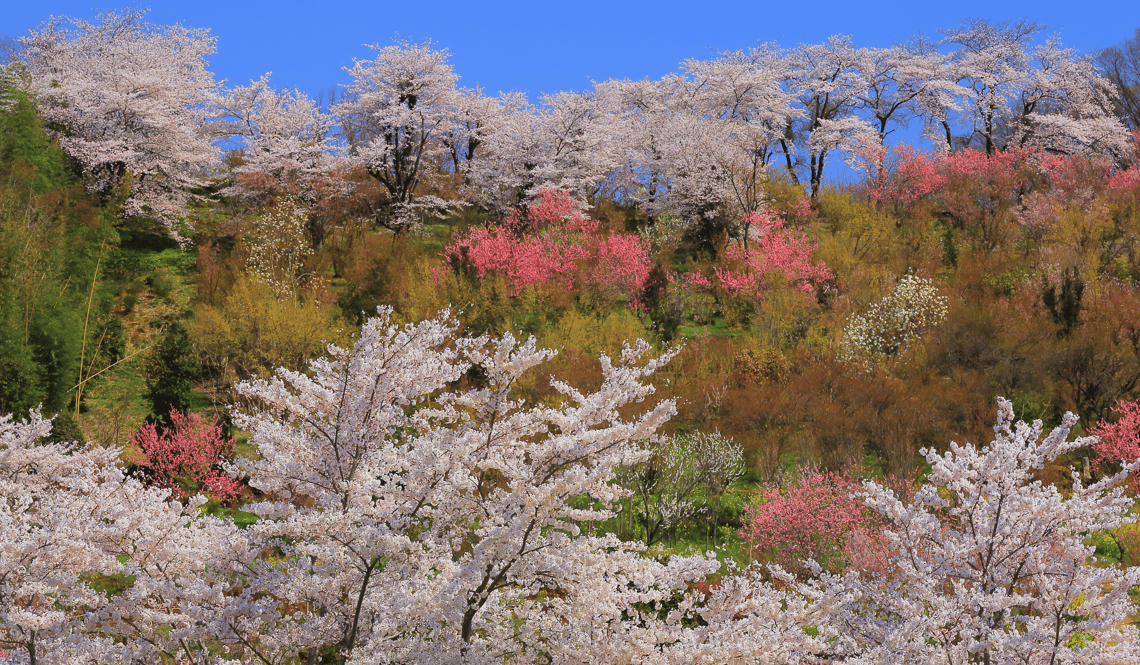 Hanamiyama