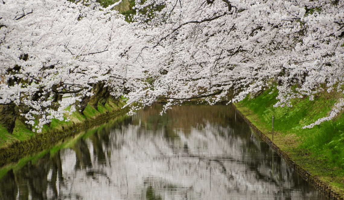 JAP - Hanami places (3)