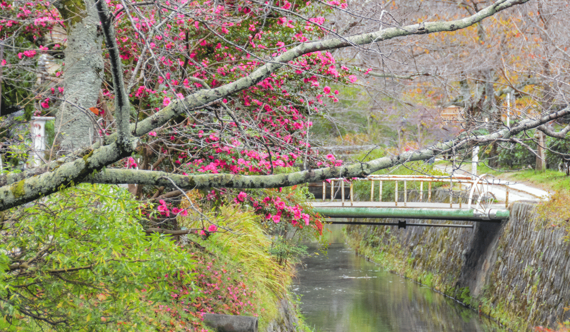 JAP - Hanami places (5)