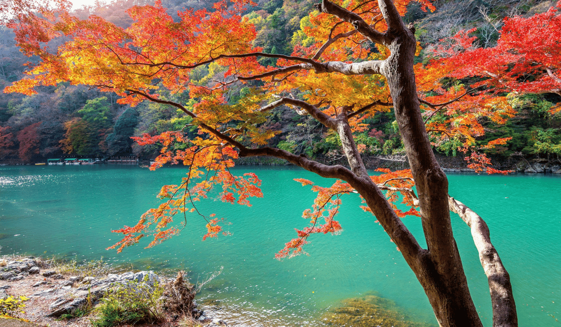 Japon à lautomne (5)