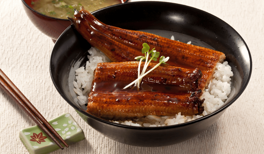 Unagi Don