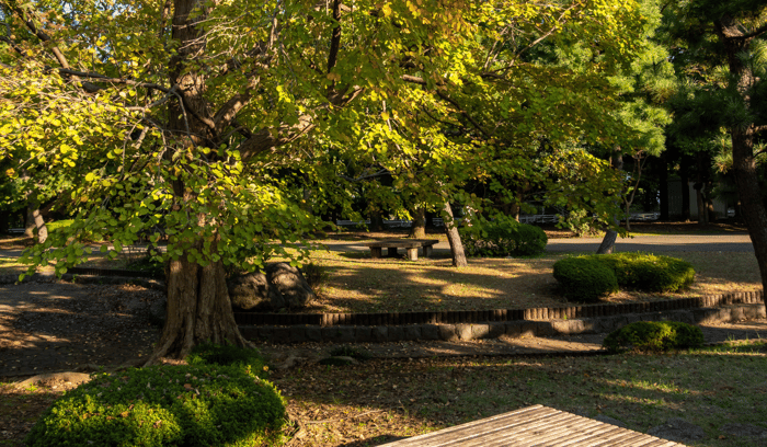 Kiyosumi garden tokyo