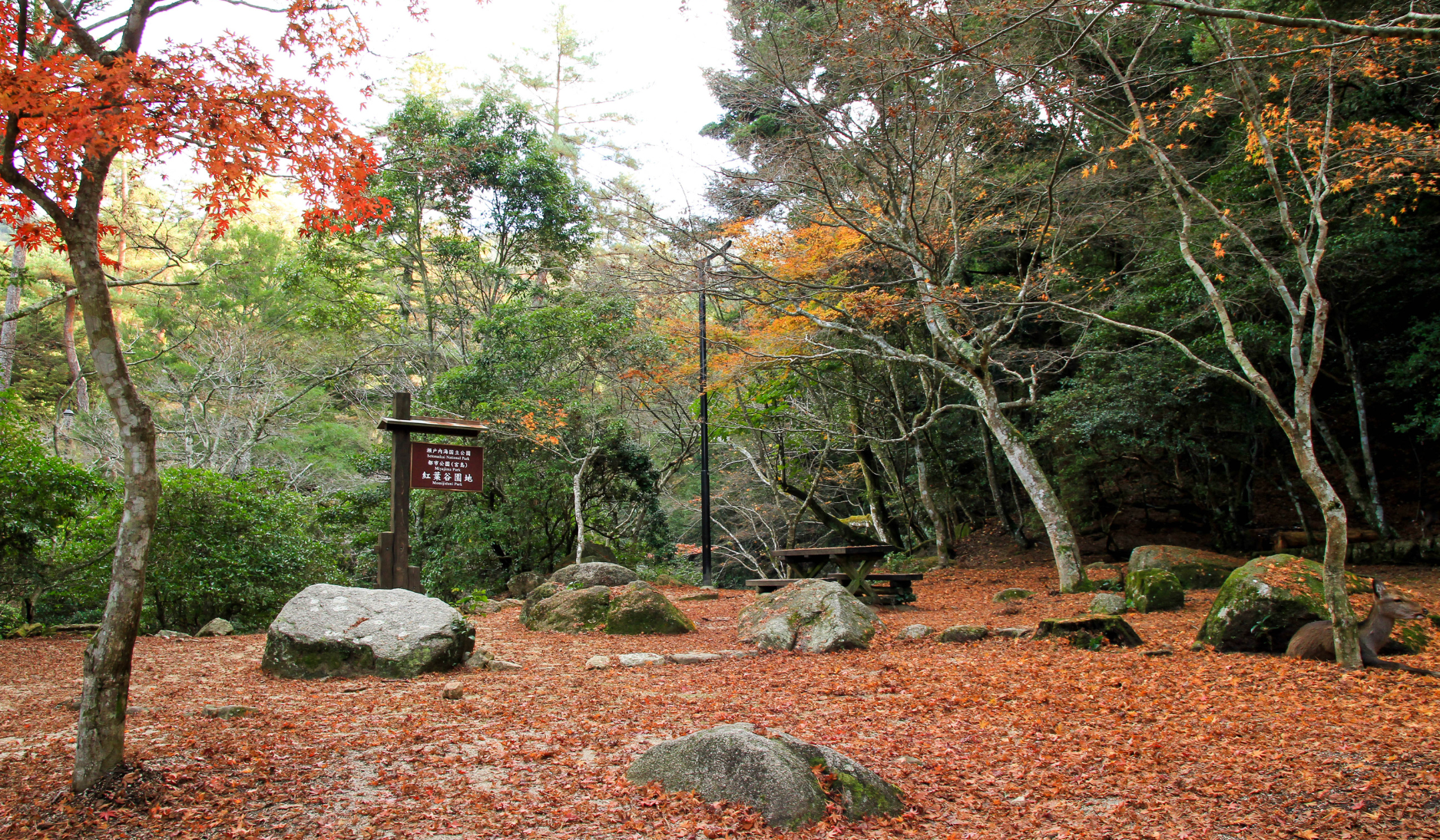 Momijidani Park Japan